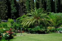Villa Madrina Lovely and Dynamic Hotel Hotels in Garda