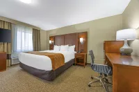 Comfort Inn South - Springfield - 2-Star