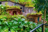 Kokol Hobbiton Forest Roomstay