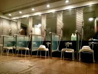 웨스트 인 후지-요시다