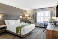 Quality Inn & Suites Amsterdam Hotels in Hanwell