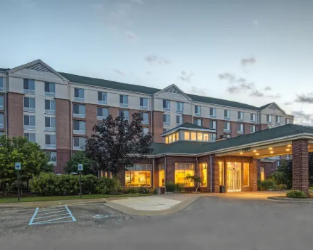 힐튼 가든 인 디트로이트 메트로 에어포트 로물루스 호텔