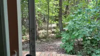 Great location 2 minutes Walking to downtown and to the lake