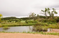 PROMO 5% WEEKLY AND 10% MONTHLY DISCOUNT!Mountain Cabin, conveniently located.