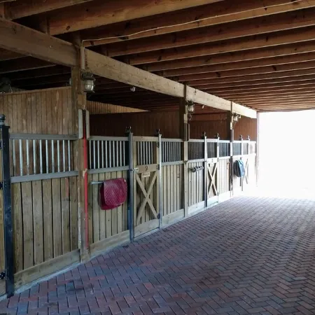 Loft Apartment in a Working Horse Barn.  Minutes from Lexington and the  Vahc.