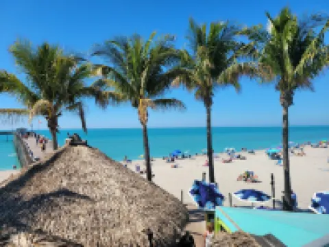 Tropical vacation house with large, heated pool and spacious, open floor plan