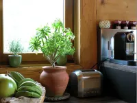 Datchas Lodges - Les Tatras - Entre Design & Tradition au Coeur Labaroche Hotels in Labaroche