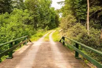 Secluded, Fun, Family-Friendly, Riverfront Cabin Surrounded by Nature.