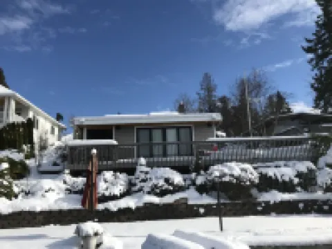 Lakefront Studio Cabin & Tiki Hut. Enjoy Summer Fun and Winter Serenity!