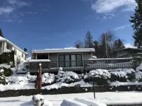 Lakefront Studio Cabin & Tiki Hut. Enjoy Summer Fun and Winter Serenity!