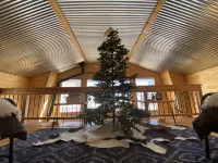 Clean cabin amid Nat Forest with private creek access,  Wi-Fi, and pet friendly!