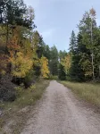 Perfect Forest Therapy Location - 3 acres - Geodesic Dome - Find your Peace !