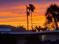 Seatreat - Adorable House Steps to Beach & Marina Hotels in Port Orange