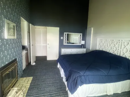 Stunning Views! 2 King Bdrms w Private Bathrooms. Walk to Lake Michigan Beach! Отели в г. Глен Арбор Тауншип