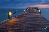 Coastal Bungalow by the Marina Downtown!