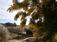 Calm and comfort for 5 people + 1 Baby in a Mas in Provence