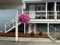 308 Bear Unit - Minutes from downtown Kenai just two blocks from the beach!