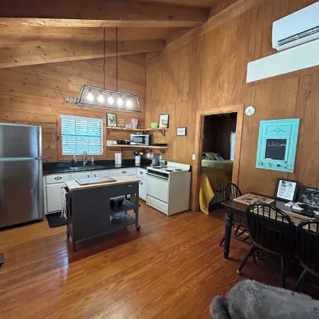 Cozy Log Cabin called Buffalo Horizon. Sleeps 4.  Close to Frio River