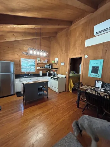 Cozy Log Cabin called Buffalo Horizon. Sleeps 4.  Close to Frio River