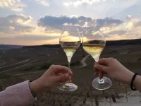 Character house from 1894 in the heart of the Champagne vineyards, near Epernay Hotels in Avize