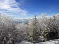 Summit Condo ... Near the Village. the 2025-26 Winter Season is Here!!!