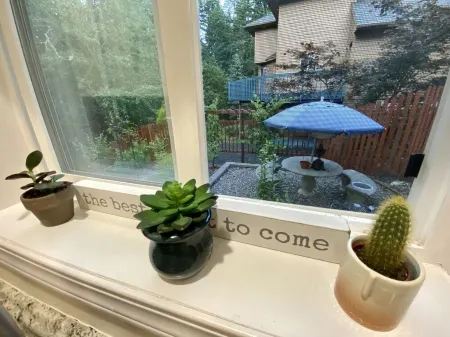 Modern, Spacious, and Private 1BR Suite