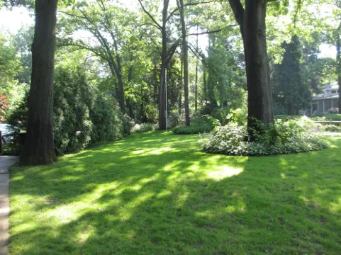 Private  Beach Steps to the Beach.