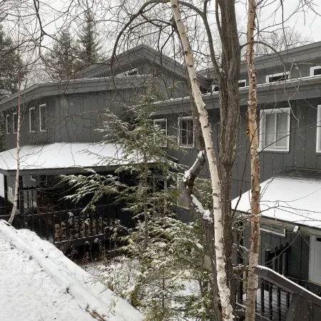 6 Guest 3Br, 2 BA Stratton Condo with Fireplace and Forest Views.