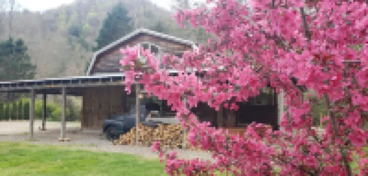 River Love ❤@ The Barn *Highlands<br>Home on the Cullasaja RiverTrout Fishing