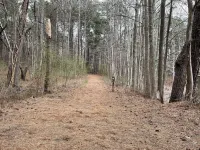 Amazing House 3 min to Lake Lanier Sleeps 6