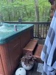 Classic Stylish Cabin in Cherry Log w/ Hot Tub, Fire Pit & Seclusion Hotels in Cherry Log