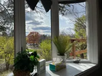 Siri's Pride & Joy Cute 2 bed/2 bath bungalow nestled on a private corner lot