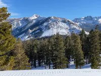 Mammoth Getaway, Short walk to the Village and steps to Canyon Lodge shuttle.