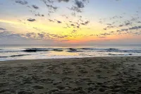 Sand Life - Pelican's Upper Deck!
