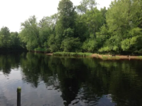 Bearadise On the Thornapple River Hotels in Flambeau