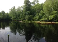 Bearadise On the Thornapple River