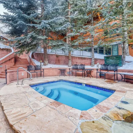 Charming & Cozy Condo in the Heart of Aspen