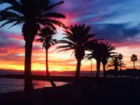 Guesthouse Hamachaya