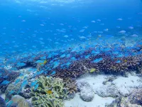 료칸 라군315 아카시마 자마미 촌 호텔