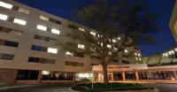 Brent House Hotel Hotels in Elmwood