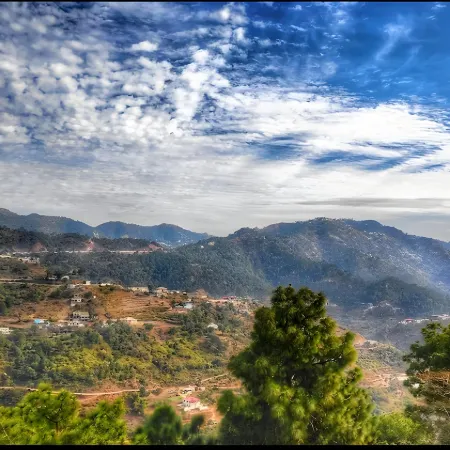 Kasauli Greens Homestay