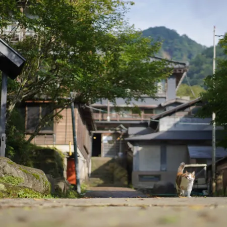 Kita Onsen Ryokan Spa