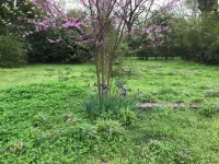 Hot Springs National Park Bungalow 5 minute drive to downtown and Bathhouse Row 핫스프링스 호텔