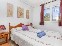 Palmera III