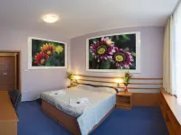 Hotel Air Hotels in Holic