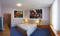 Hotel Air Hotels in Holic
