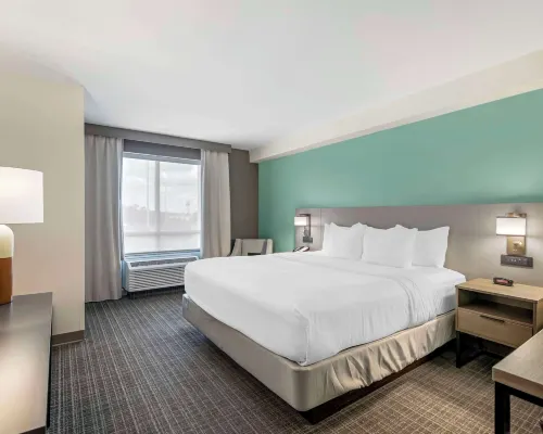Comfort Suites Hotels in Lowndes County