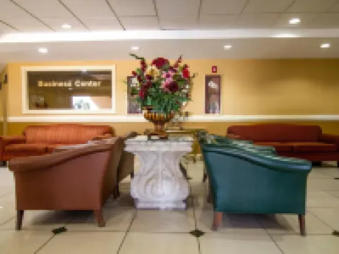 ラ コパ ホテル マッカレンのホテル