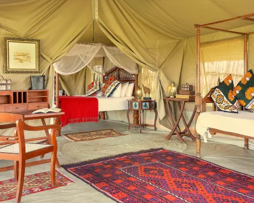 Kandili Camps Hotels in Mara