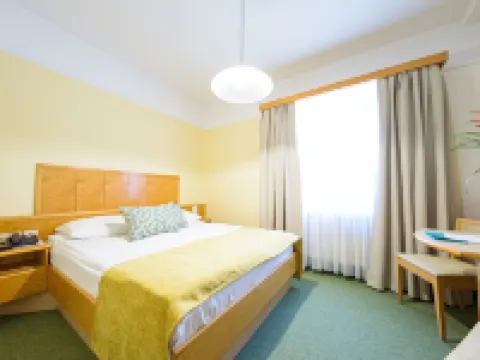 Hotel Toplice - Terme Krka Hotels in Novo Mesto